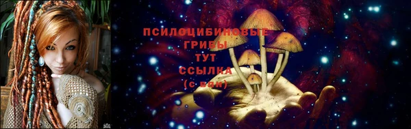 тгк Алексеевка