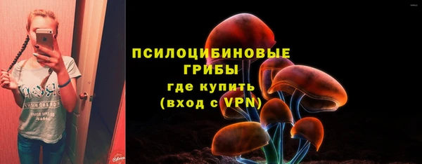 герыч Алексин