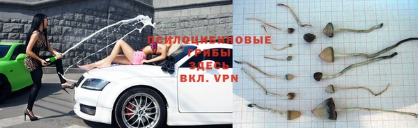 трава Алзамай