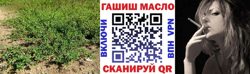 ТГК гашишное масло  omg зеркало  Неман 
